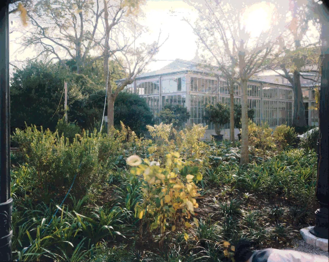 Giardini Reali di Venezia, Venice