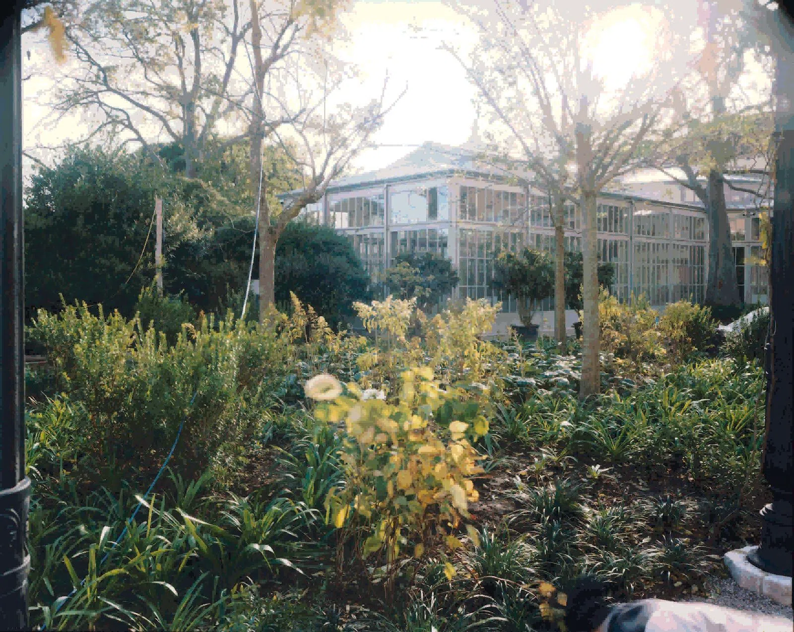 Giardini Reali, Venice